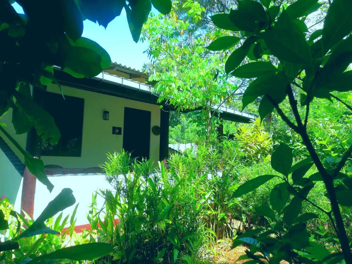 Lakmal Homestay ,10 Minutes To Sigiriya Rock ภายนอก รูปภาพ