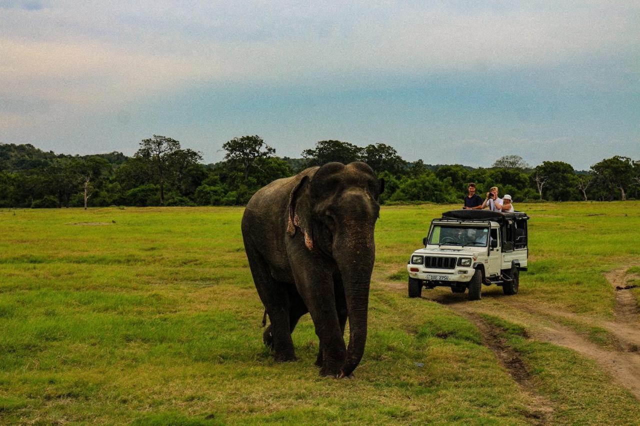 Lakmal Homestay ,10 Minutes To Sigiriya Rock ภายนอก รูปภาพ