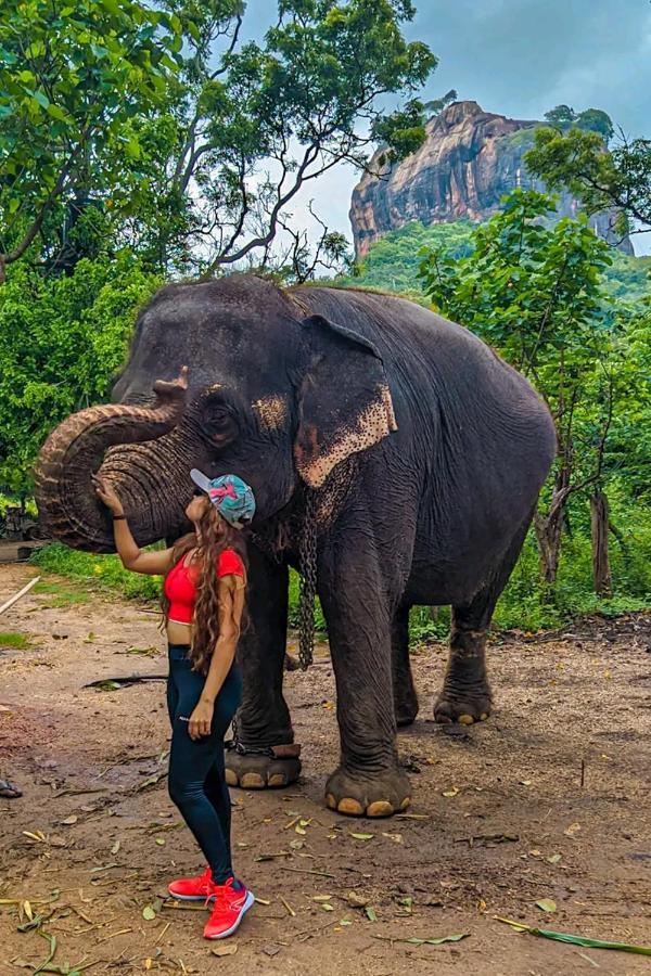 Lakmal Homestay ,10 Minutes To Sigiriya Rock ภายนอก รูปภาพ