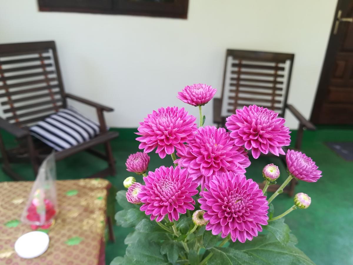 Lakmal Homestay ,10 Minutes To Sigiriya Rock ภายนอก รูปภาพ